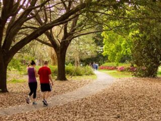 Habits of Healthy People