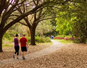 Habits of Healthy People