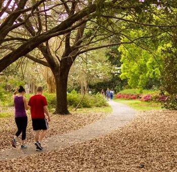 Habits of Healthy People