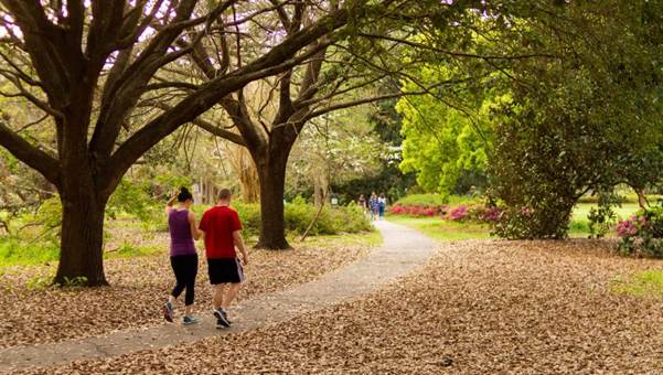 Habits of Healthy People