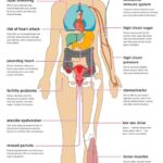 लाइफस्टाइल बनाम जेनेटिक्स | आपकी सेहत पर किसका ज़्यादा कंट्रोल?