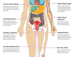 Lifestyle vs Genetics