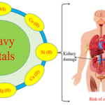 Healthy Lifestyle for Busy People | Simple Time-Saving Health Tips