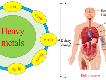 How Environment Affects Health