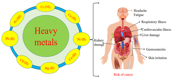 How Environment Affects Health