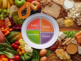 The Lifelong Health Blueprint