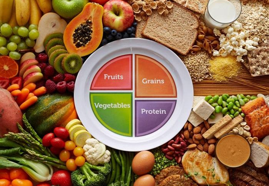 The Lifelong Health Blueprint