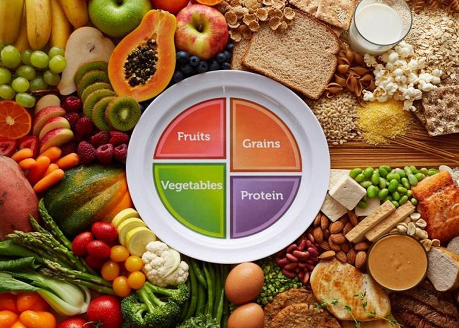 The Lifelong Health Blueprint